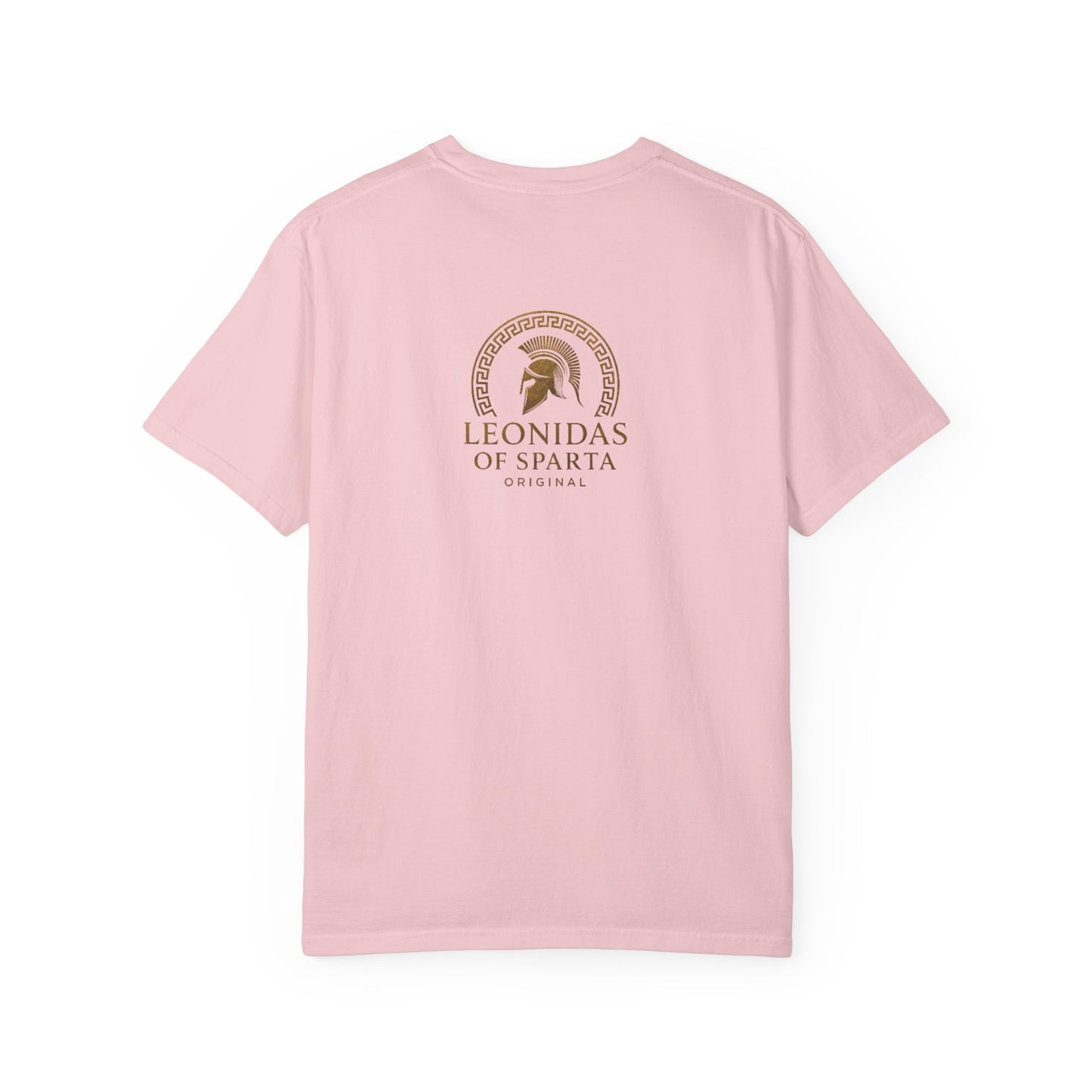 Pegasus Mythic T-Shirt — Leonidas of Sparta Graphic Tee