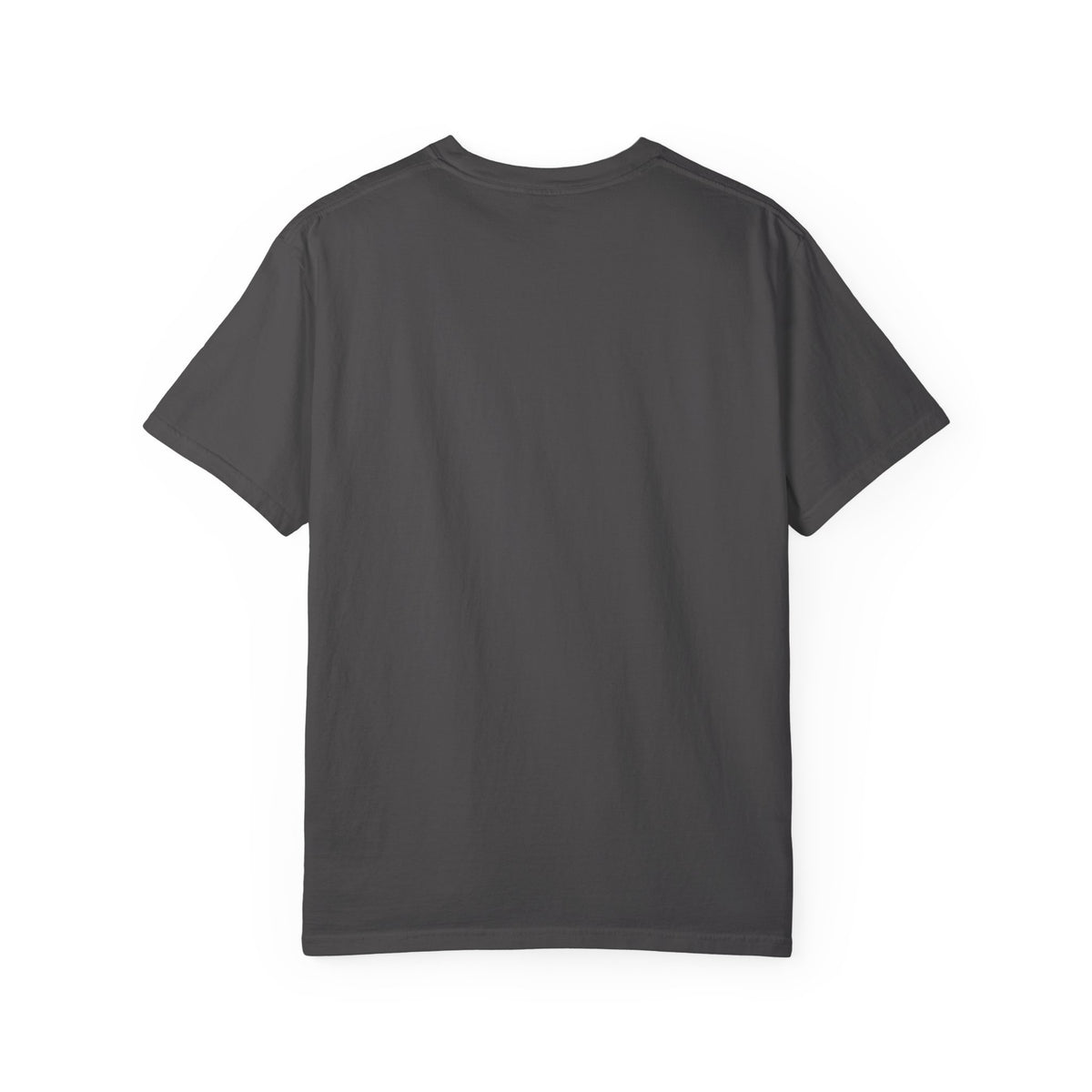 Spartan Warrior T-Shirt — Ancient Greek Helmet & Shield Graphic