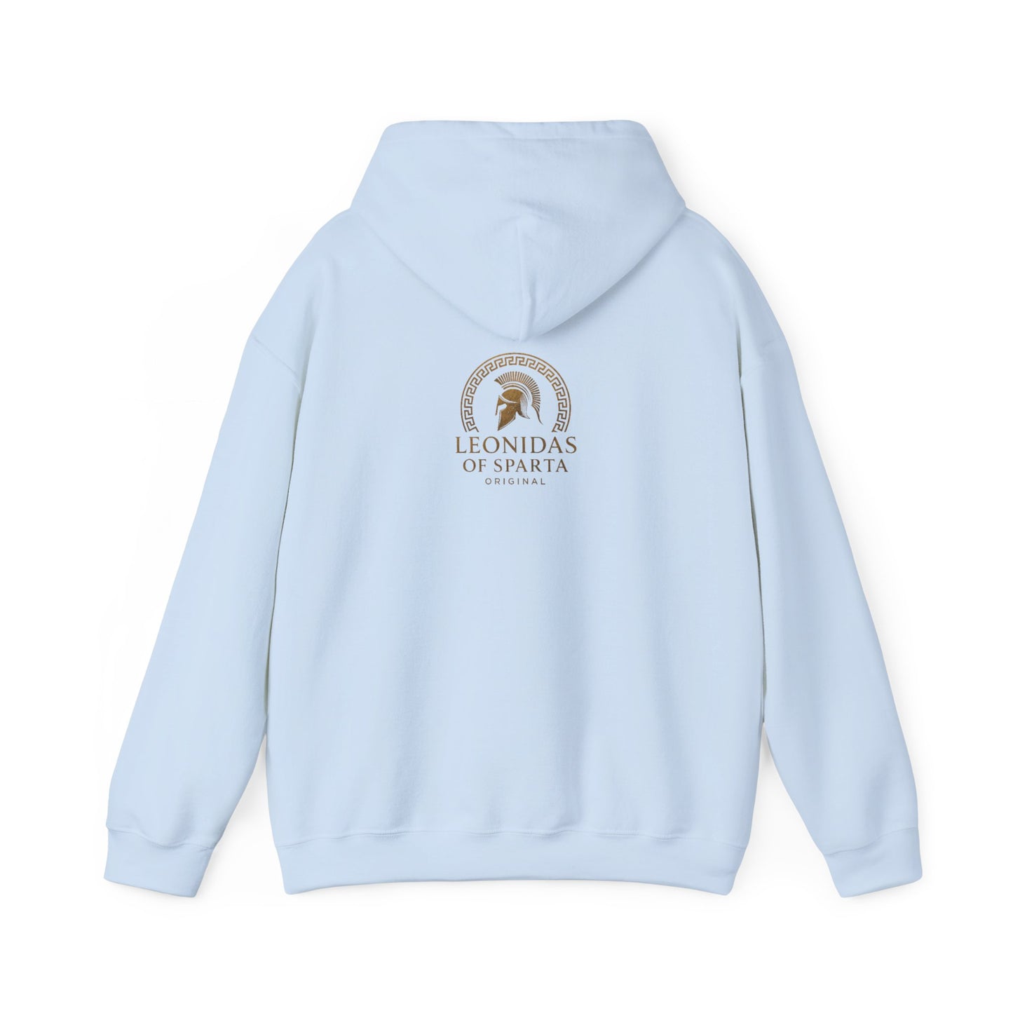 Mystical women and horse Hoodie