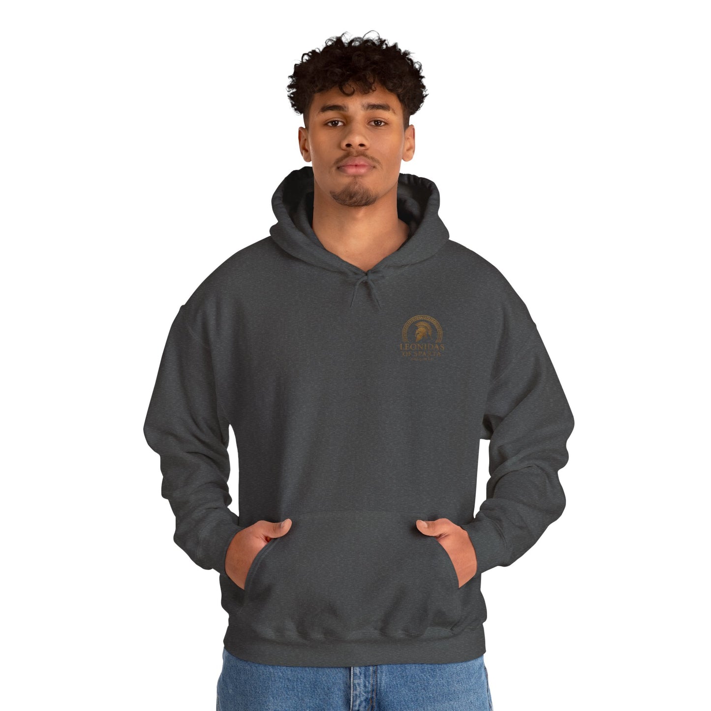 Leonidas of Sparta Hoodie – Spartan Helmet Crest Pullover