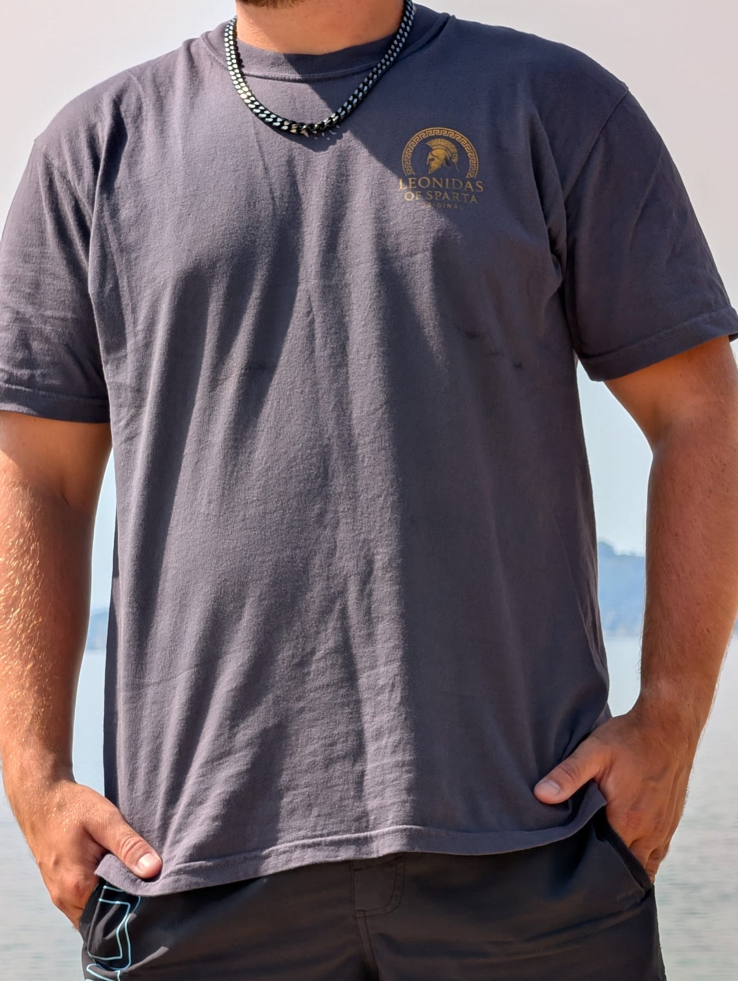 Spartan Warrior Graphic T-Shirt