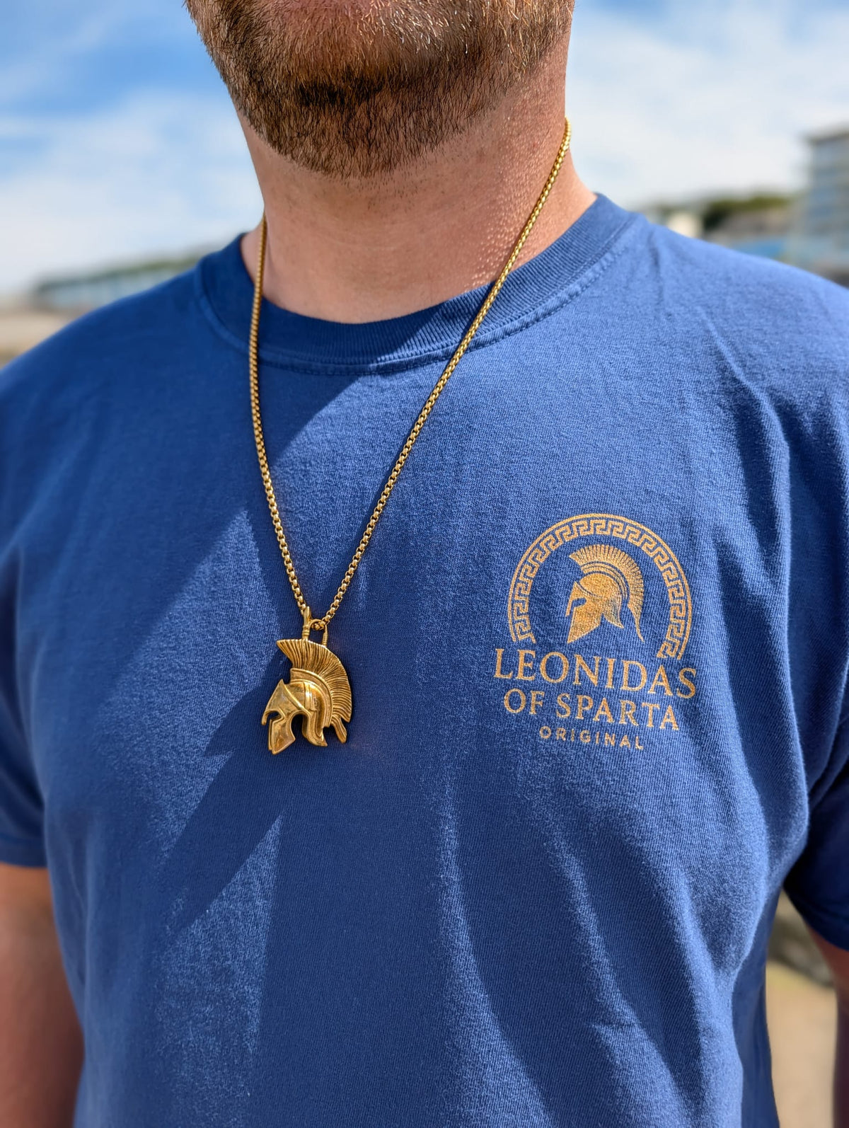 Spartan Warrior Flame Graphic T-Shirt